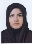 Dr. Saghfi Khadem, Shadi